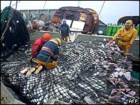 рибне судно