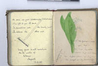 Llyfr lloffion nain Angharad Tomos