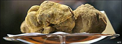 A white truffle