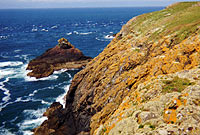 Clogwyni Ynys Sgogwm