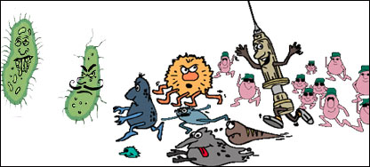 پکش، مکش او نور پهلوانان په چکی مکي پسې اخلي