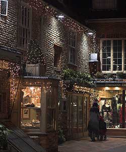 Holt's Christmas lights.