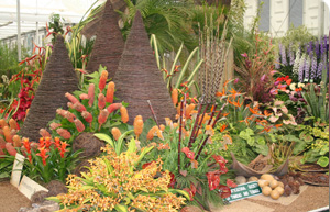 Trinidad and Tobago display with a theme of abolition