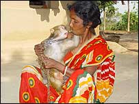 बंदर की माँ