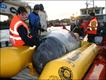 Foto: British Divers Marine Life Rescue