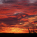 Sunset in Nicaragua