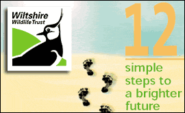 The front cover to Wiltshire Wildlife Trust's new leaflet