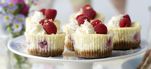 Raspberry cheesecake cupcakes