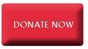Donate money now!