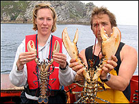 Natural England researchers checking lobsters 
