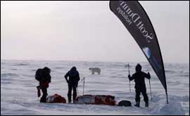 Commando Joe team ward off a polar bear