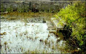 عکس ازعلی علی اکبری