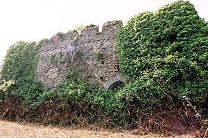 The Elizabethan manor house at Pembrey Court Farm is the only one of its kind in Carmarthenshire.