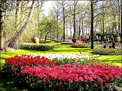 بهار در هلند