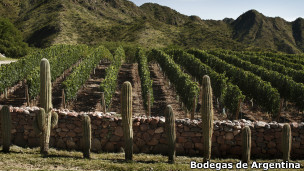 Vinícola / Bodegas de Argentina