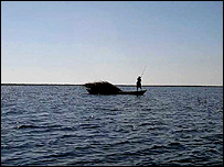 تالاب شادگان