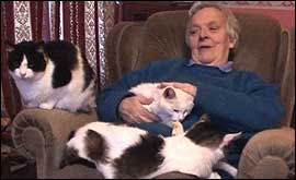 Yvonne Stewart and her cats
