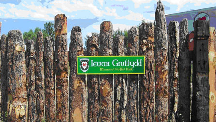 'The Ieuan Guffydd Memorial Football Park'