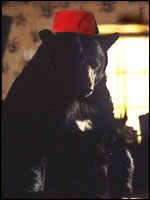 It was a very large lost property office