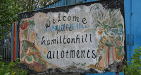 North Glasgow Community Food Initiative