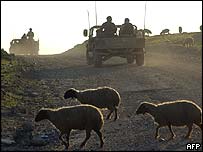 Irak'ta bir yol kenarından görüntü