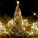 Fir tree