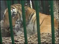 फाइल फ़ोटो