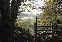 Lanscape - Chris Carbin