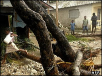 سواحل جامائیکا