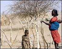 آوارگان سودانی