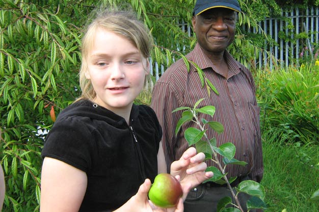 Picking apples