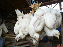 Gà ở chợ Jakarta