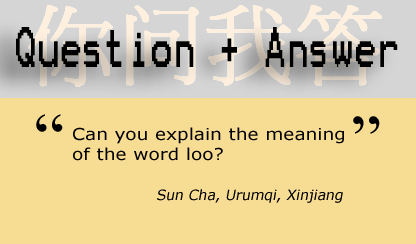 Question and Answer: Can you explain the meaning of the word loo?