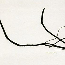 Review of Formations