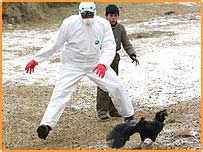 د مرغانو والگى 