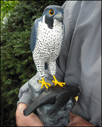 The finished carving