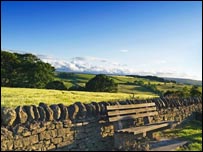 Rowley Bank near Castleside by Carole Jeffery