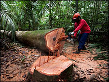 Itacoatiara, Amazonas, Brasil (4 de abril de 2009. © Daniel Beltrá )