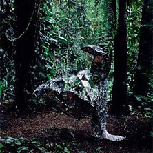 Review of Donkey Review of Donkey