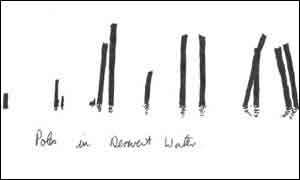 Poles in Derwent Water