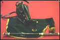 uilleann pipe