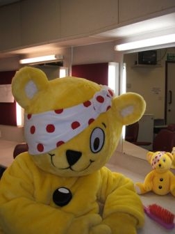 pudsey