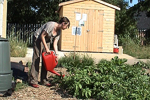 Ally is the veg gardener in charge of BBC Radio Berkshire's The Plot in Slough.