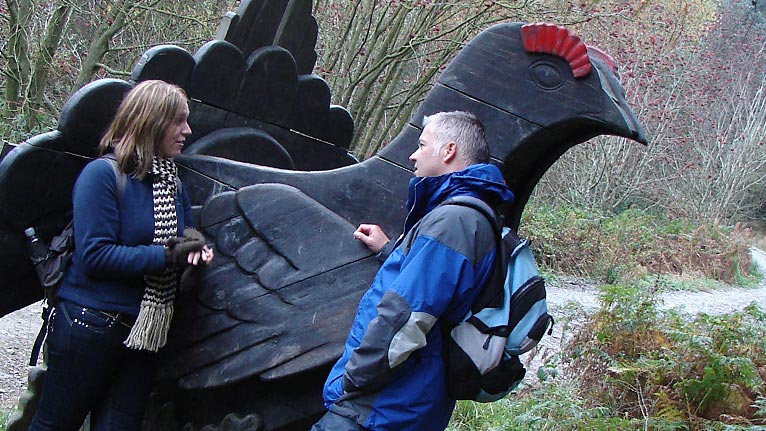 The wooden black grouse