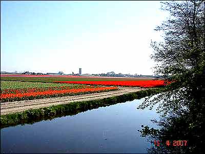 بهار در هلند