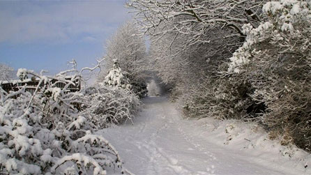 Evanston by Keith Jones