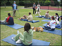 Londrinos e seus cães fazem ioga no parque Battersea