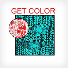 Review of Get Color