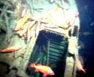 Illustration of the Scharnhorst wreck on the seabed