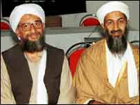 اسامہ اور الزواہری